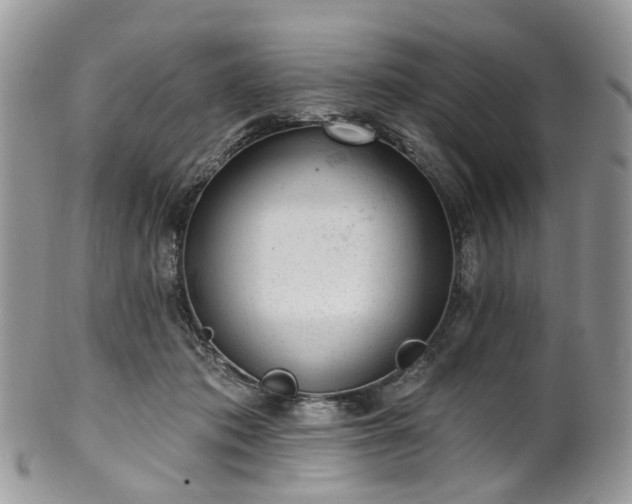 X0000100410413200806131040