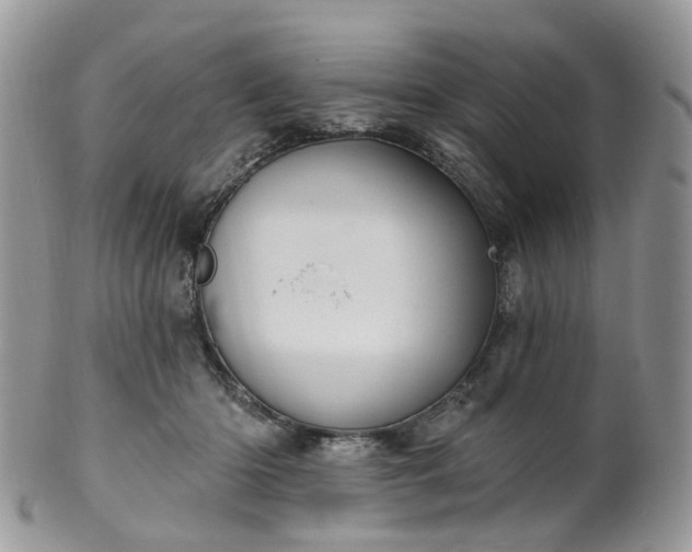 X0000100410414200806131040