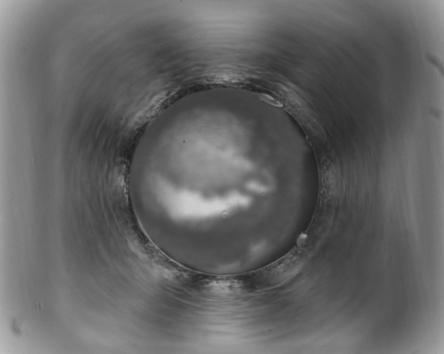 X0000100410415200806131040