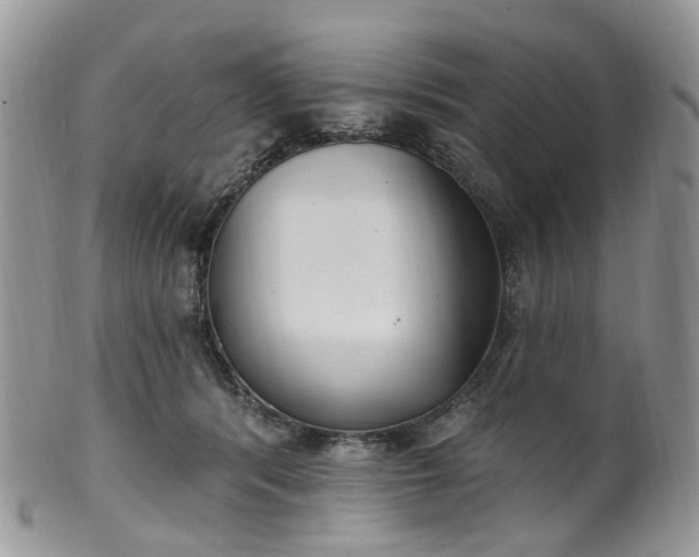 X0000100410416200806131040