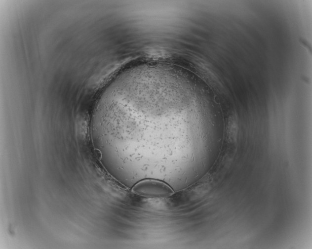 X0000100410417200806131040