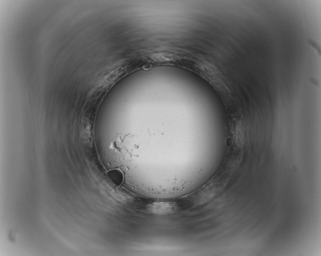 X0000100410418200806131040