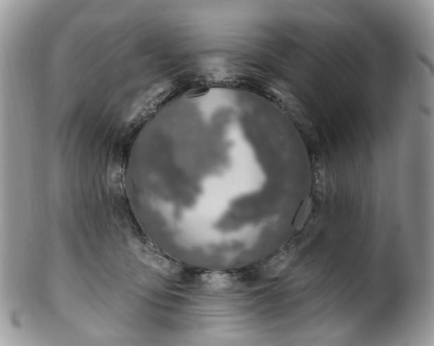 X0000100410419200806131040