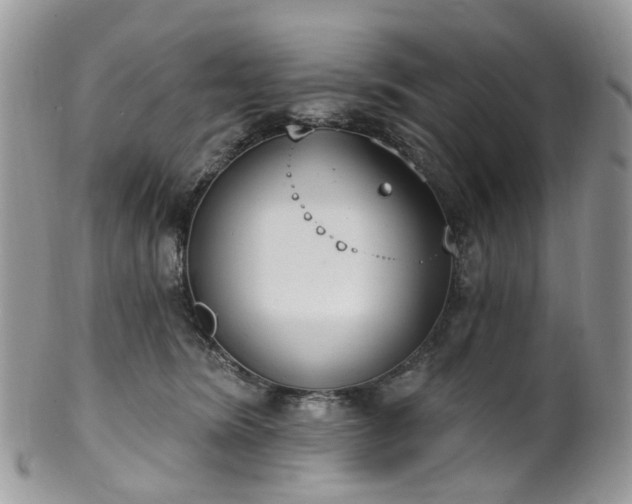 X0000100410420200806131040