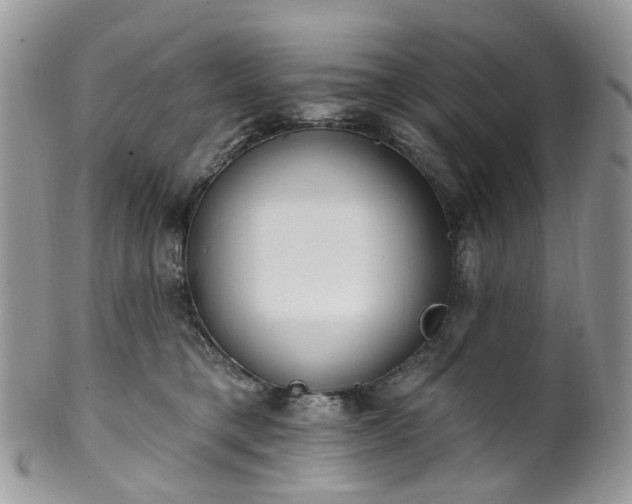 X0000100410421200806131040