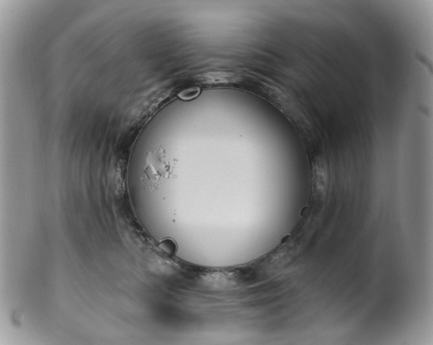 X0000100410422200806131040