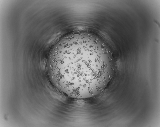 X0000100410423200806131040