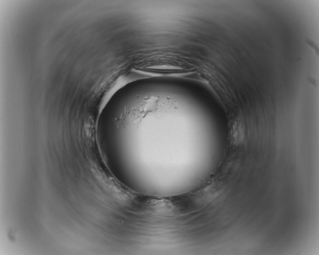 X0000100410424200806131040