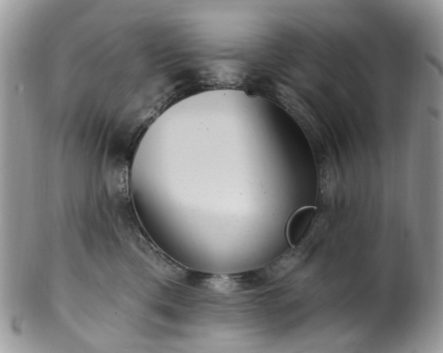 X0000100410425200806131040