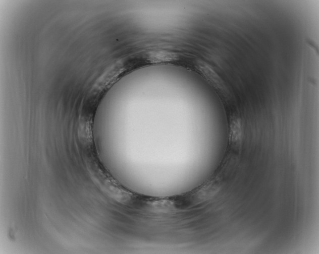 X0000100410426200806131040