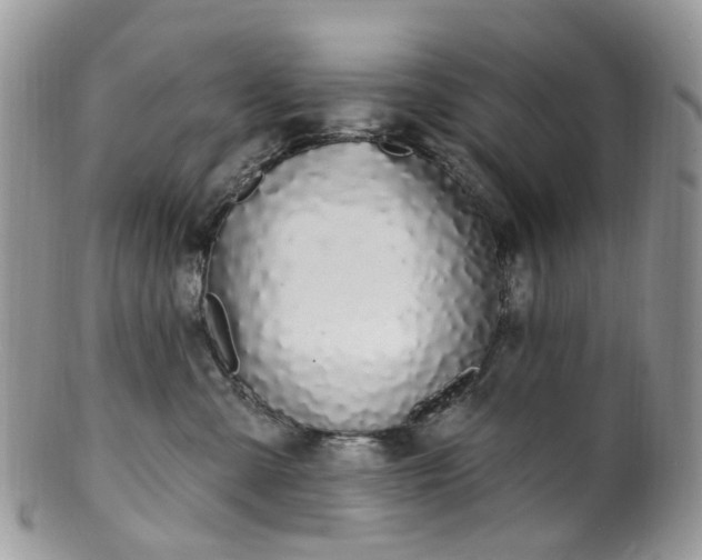 X0000100410427200806131040