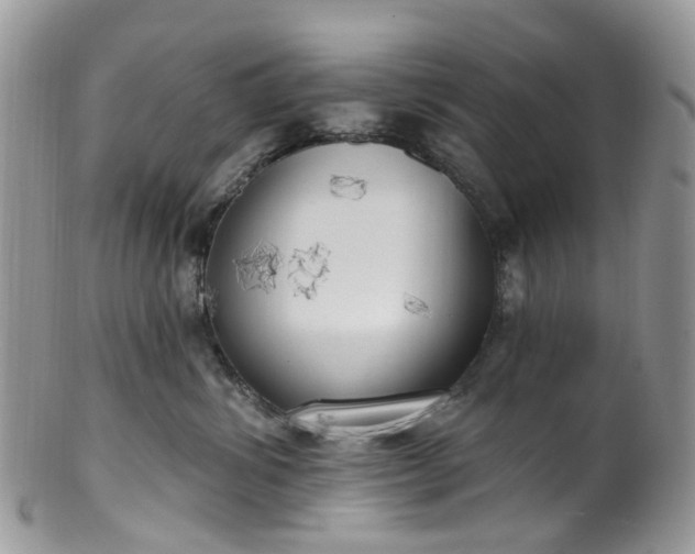 X0000100410428200806131040