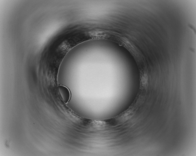 X0000100410429200806131040