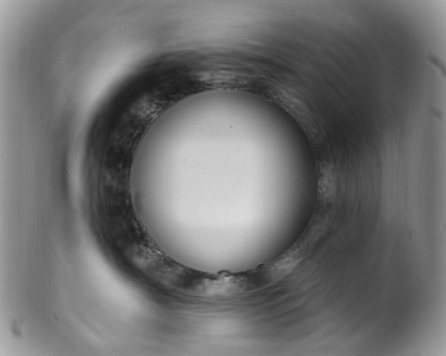 X0000100410430200806131040