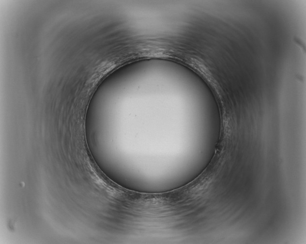 X0000100410433200806131039