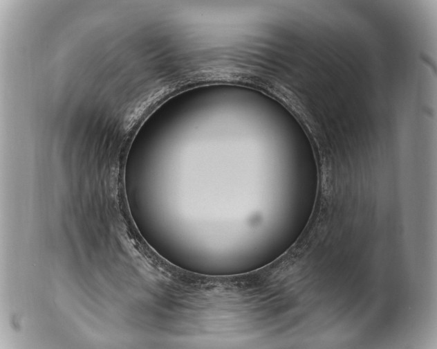 X0000100410434200806131039