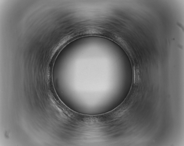 X0000100410435200806131039