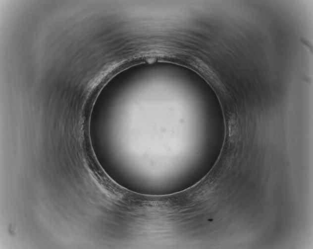 X0000100410436200806131039