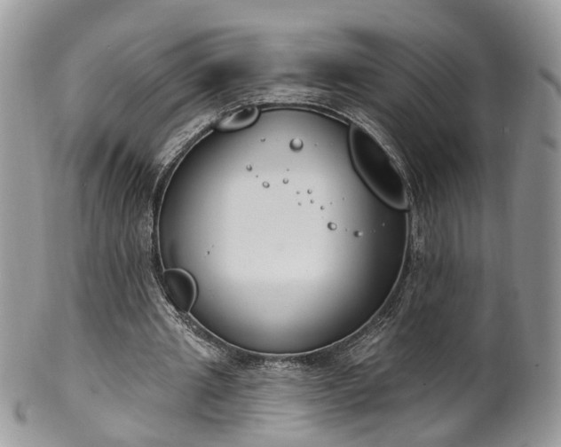 X0000100410437200806131039