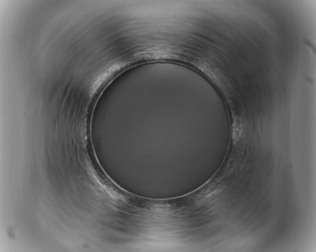 X0000100410438200806131039