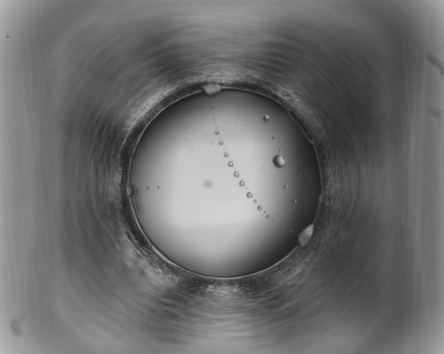 X0000100410440200806131039