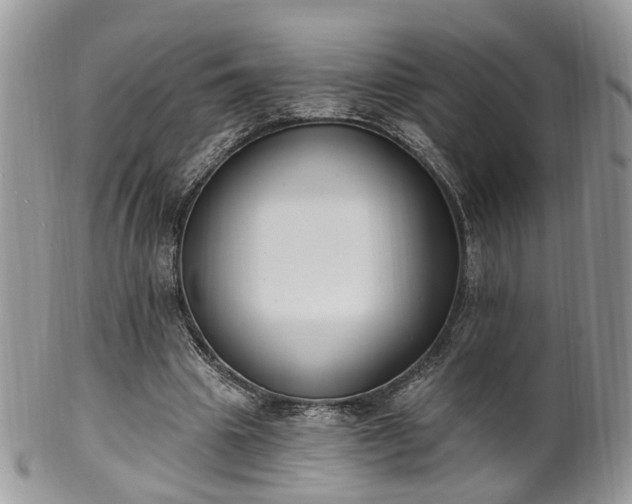 X0000100410441200806131039