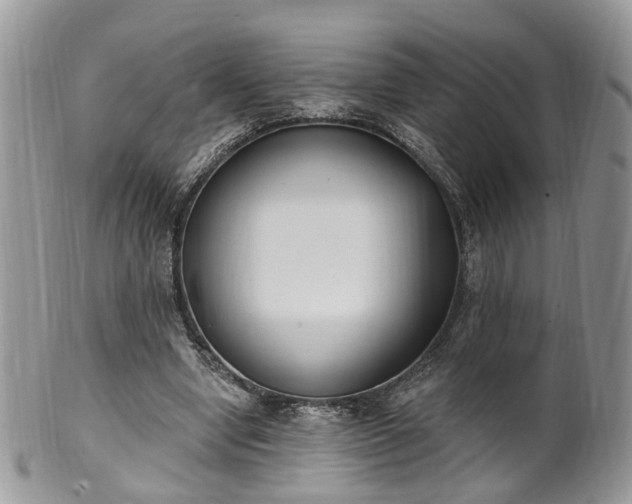 X0000100410442200806131039