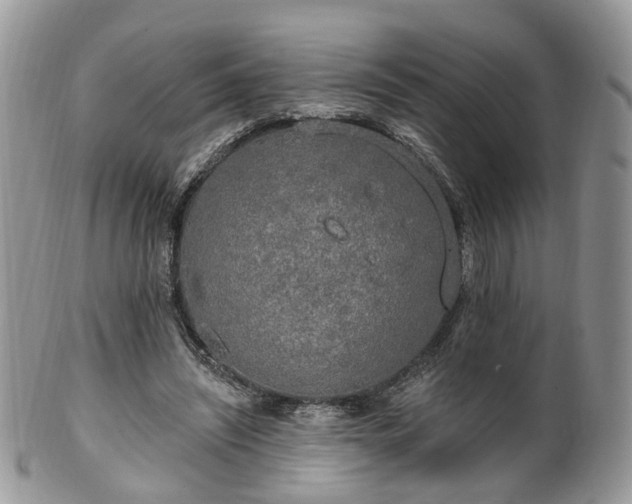 X0000100410444200806131039