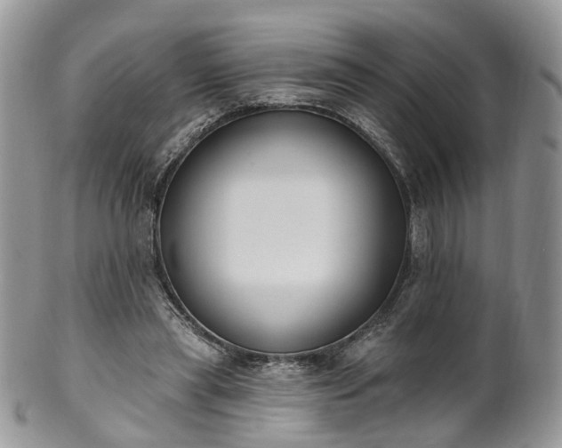 X0000100410445200806131039