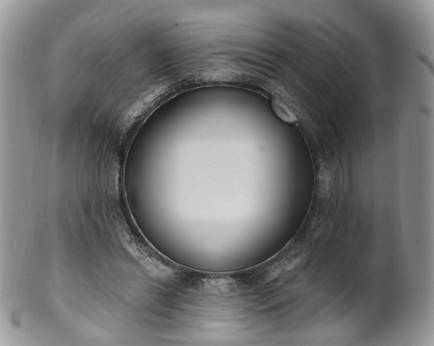 X0000100410446200806131039