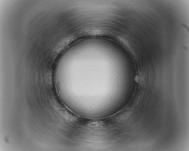 X0000100410447200806131039