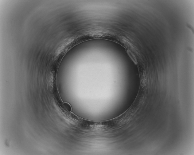 X0000100410448200806131039