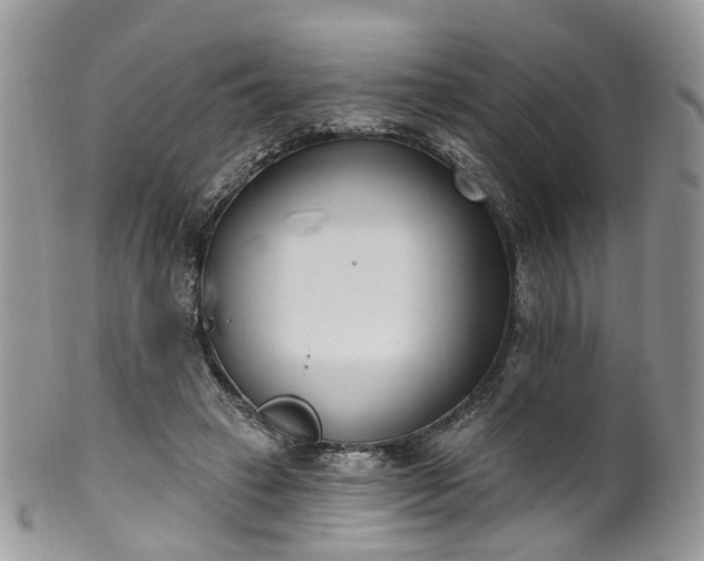 X0000100410449200806131039