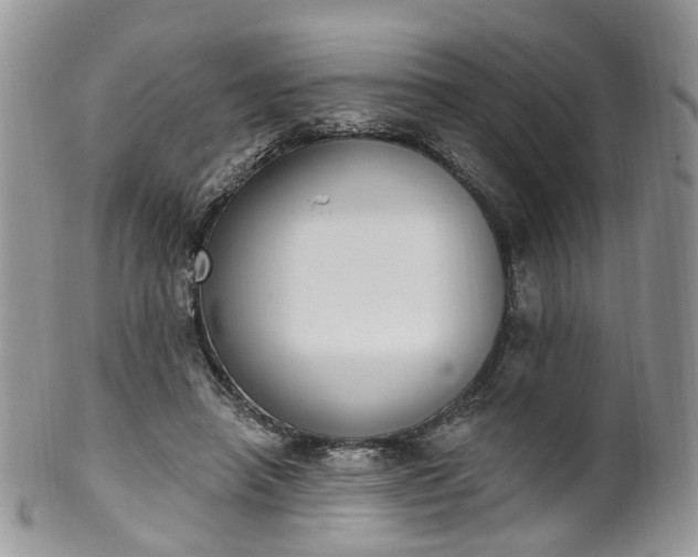 X0000100410450200806131039