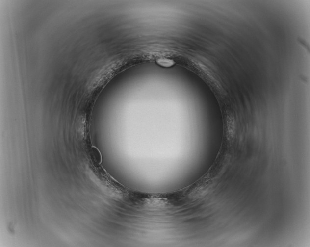 X0000100410451200806131039