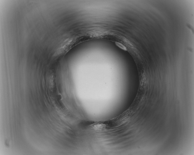 X0000100410452200806131040