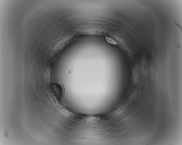 X0000100410453200806131040