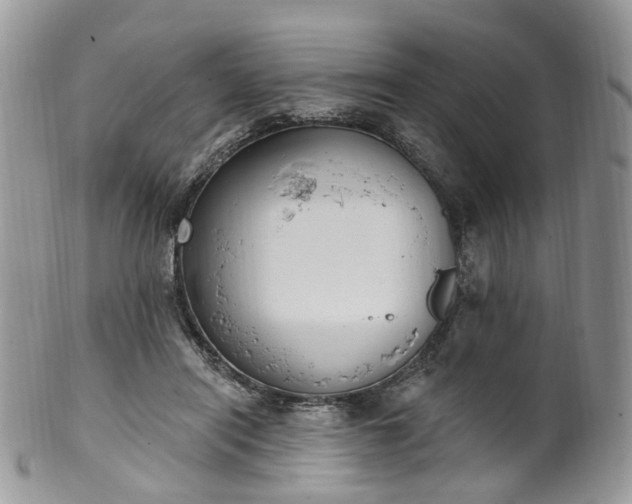 X0000100410454200806131040