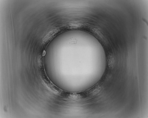 X0000100410455200806131040