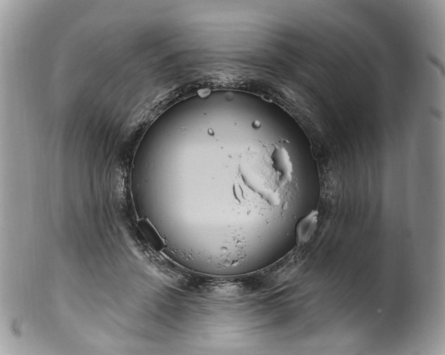 X0000100410456200806131040