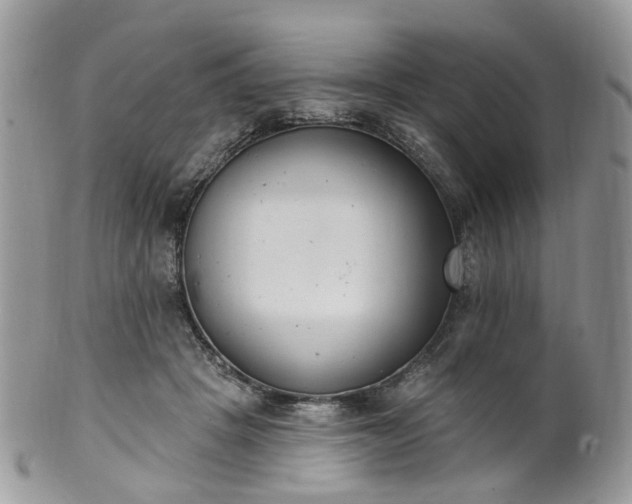 X0000100410457200806131040