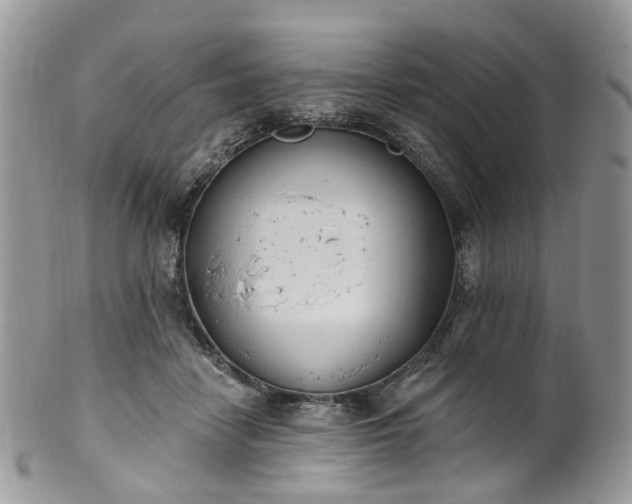 X0000100410458200806131040