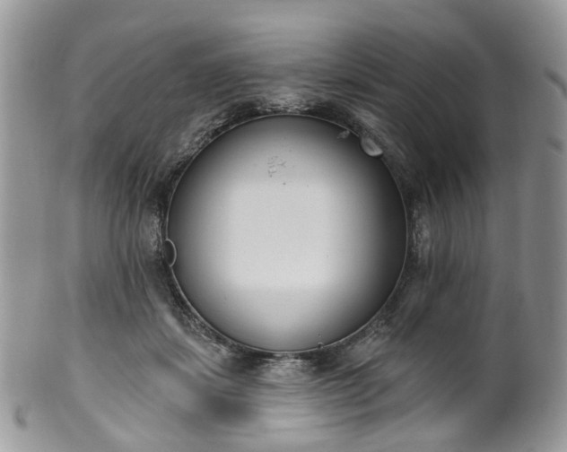 X0000100410459200806131040