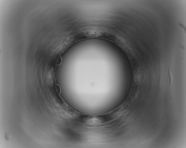 X0000100410460200806131040