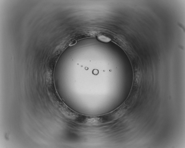 X0000100410461200806131040