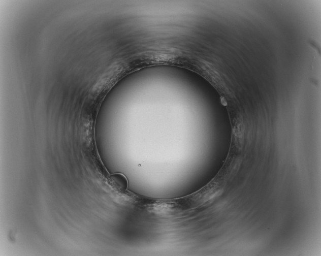 X0000100410462200806131040