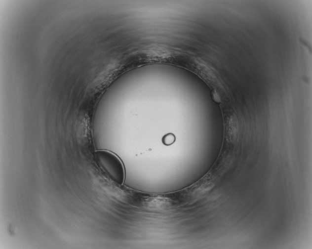 X0000100410463200806131040