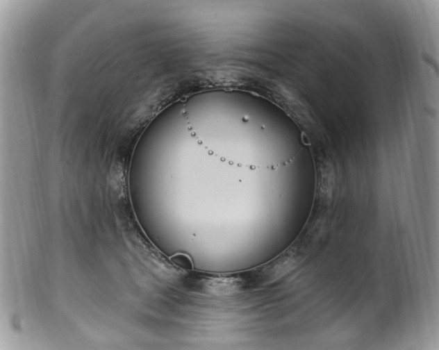 X0000100410465200806131040