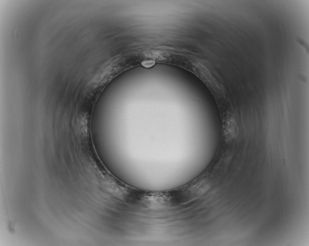 X0000100410466200806131040