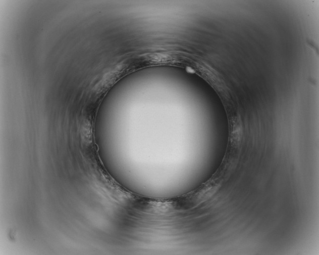 X0000100410469200806131040